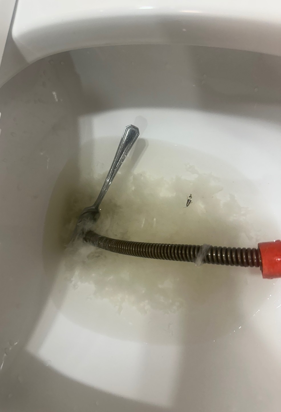 26b9eb0fbca33ffdd0e2c817fec434d9_1757075